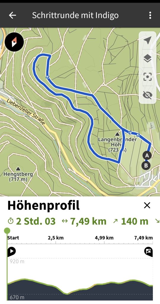 2023 11 November 609